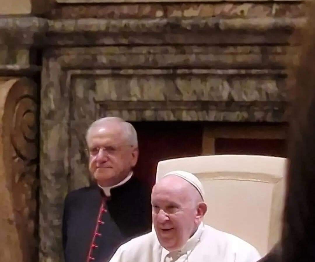 Papa Francesco incontra i professionisti sanitari, presente anche il presidente Lenza
